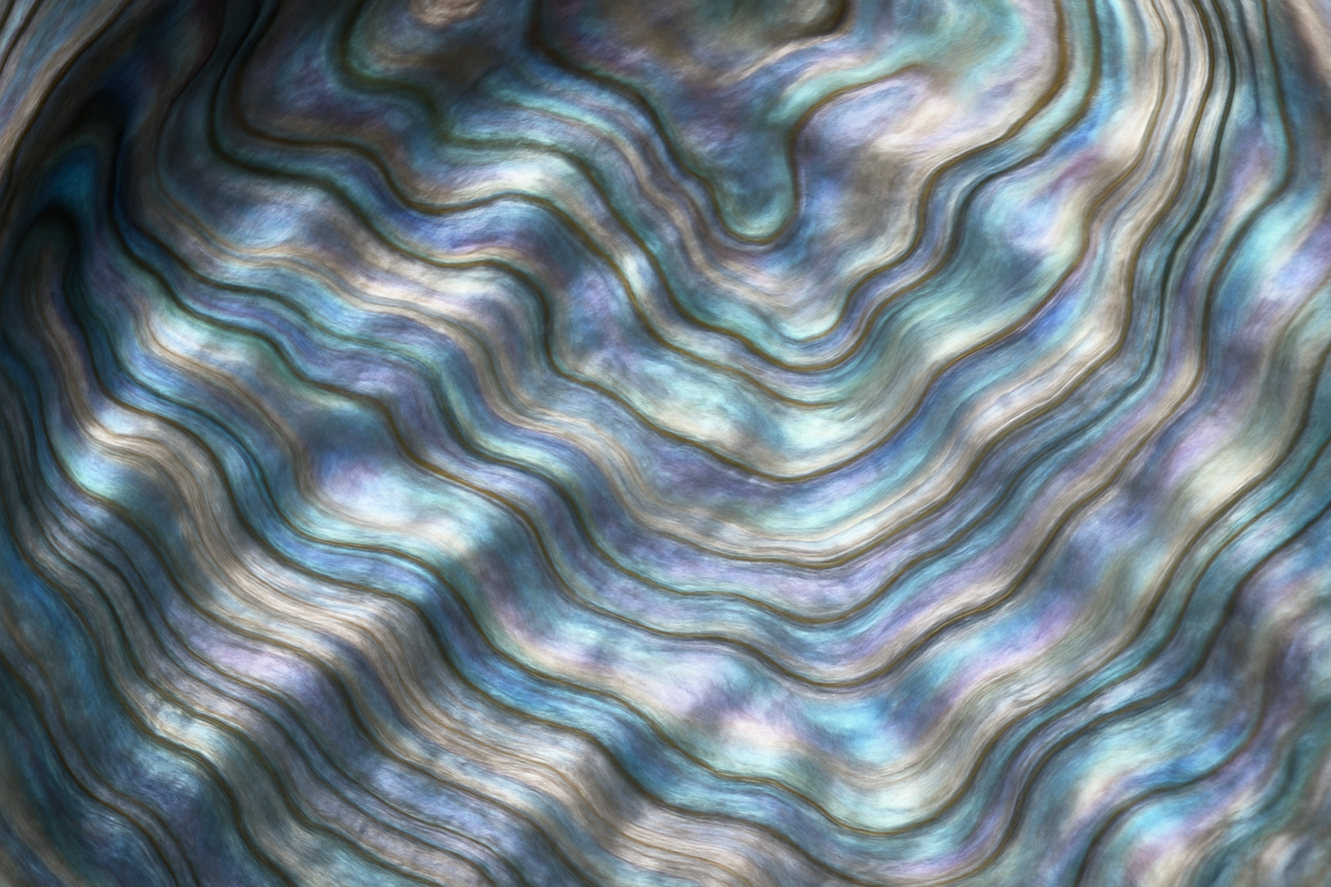 texture of the inside of an abalone shell